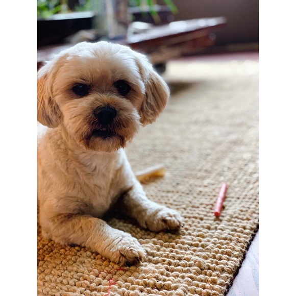 Meet the Posher - Picture 6 of 9